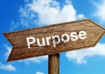 How to Find Your Purpose (Even If You Feel Stuck)